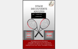 Stage découverte 